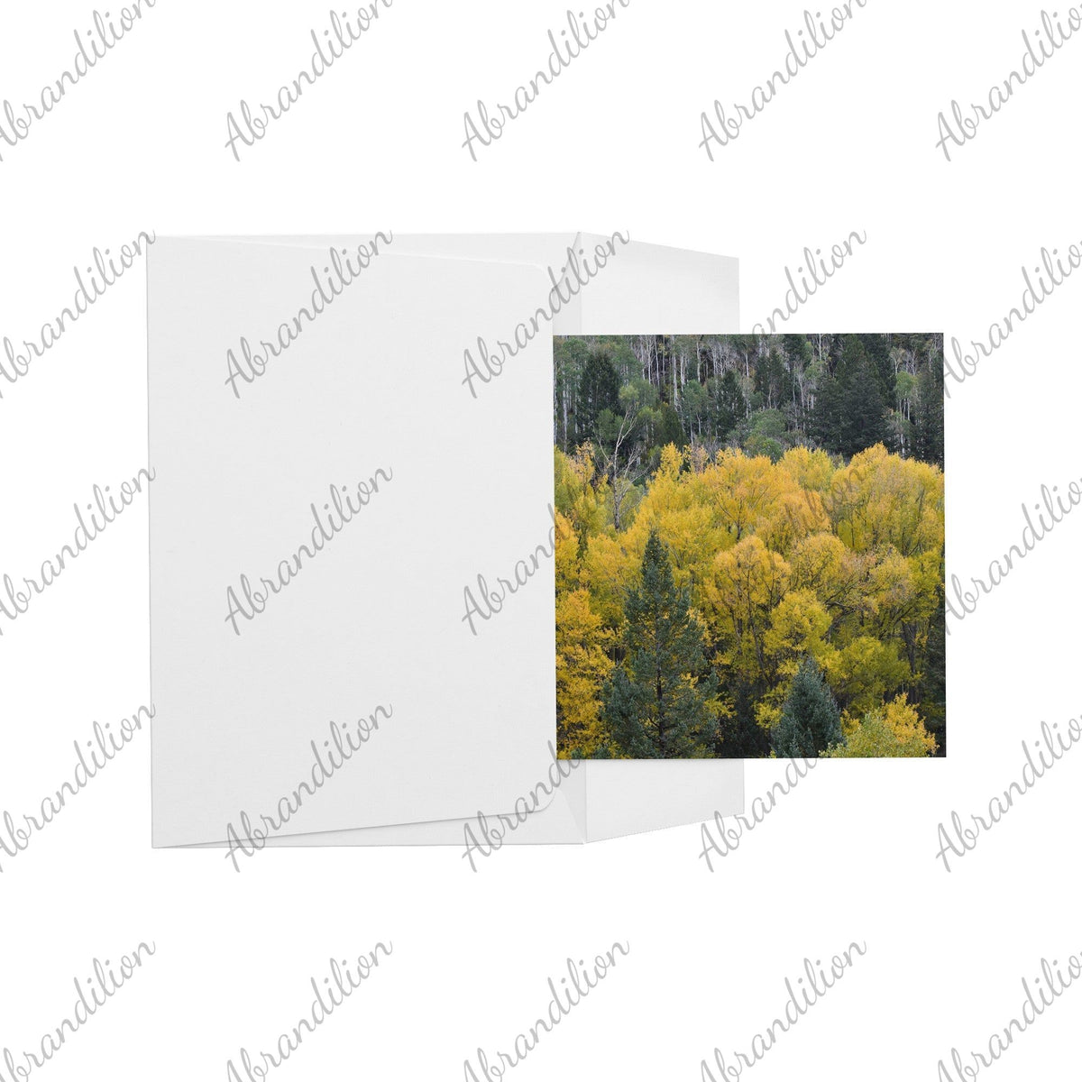 Colorado Fall | Flat Card - abrandilion