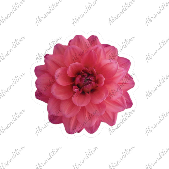 Dahlia Floral Sticker, Personal Photograph, Kiss - Cut Sticker Art, Flower Laptop Decal, Botanical Journal Sticker, Custom Sticker Design - abrandilion