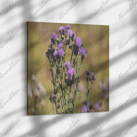 Mountain Wildflower - Purple - Canvas Wrap - abrandilion