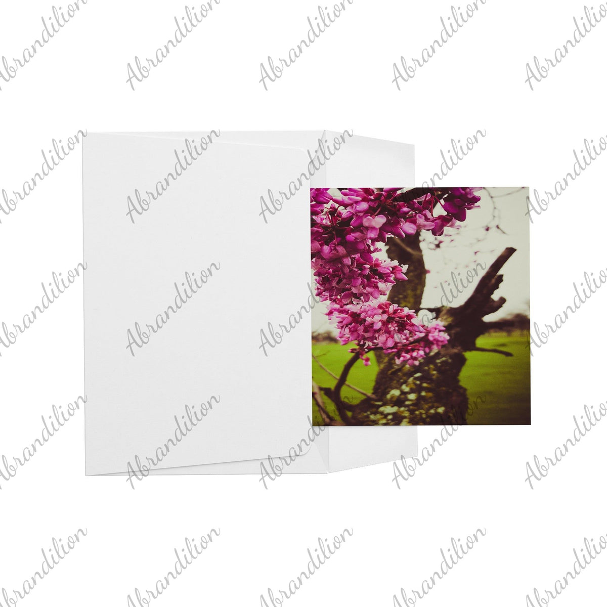 Pink Blooms | Flat Card - abrandilion