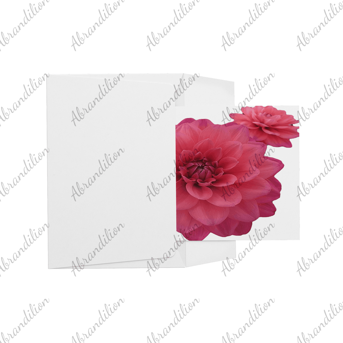 Pink Dahlia - Flat Card with Envelopes - abrandilion