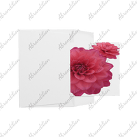 Pink Dahlia - Flat Card with Envelopes - abrandilion