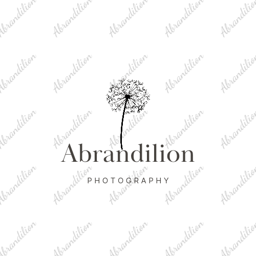 Pink Dahlia - Flat Card with Envelopes - abrandilion