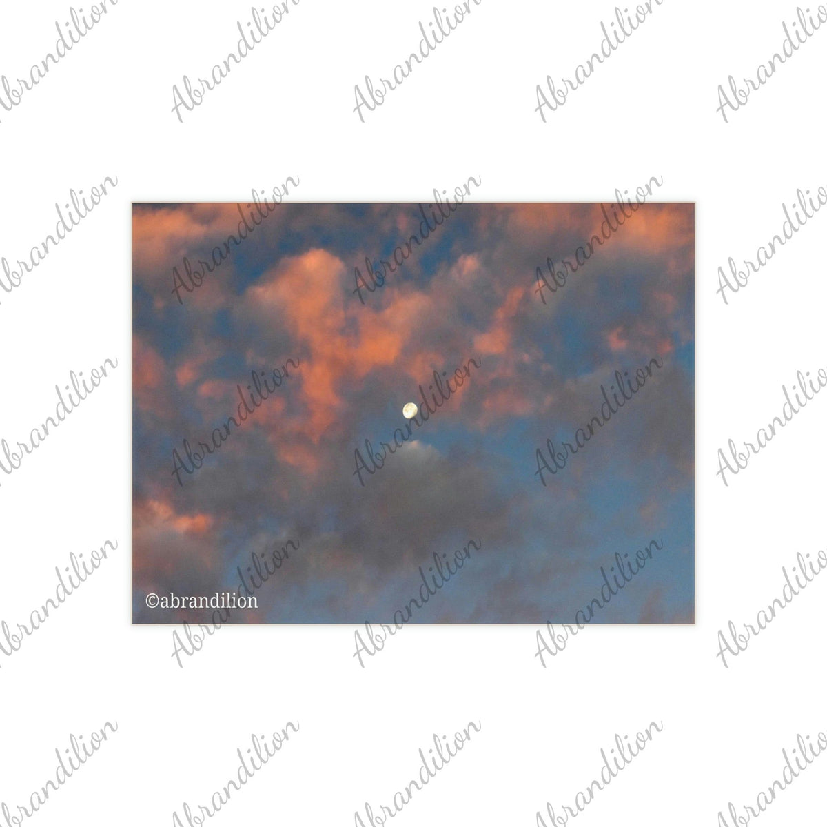 Ceramic Photo Tile - abrandilion