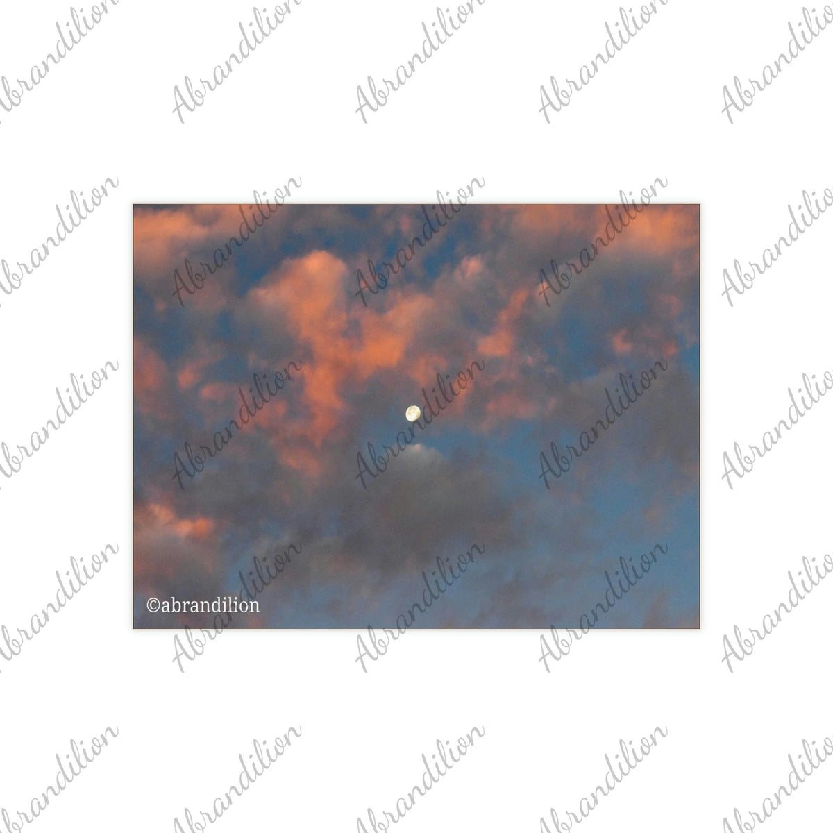 Ceramic Photo Tile - abrandilion