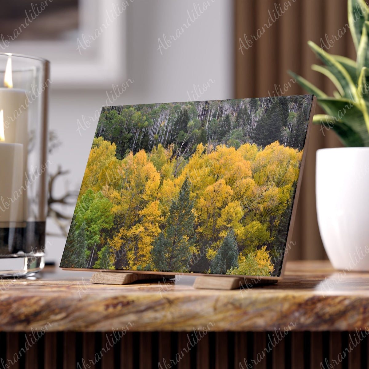 Colorado Aspen Ceramic Photo Tile - abrandilion
