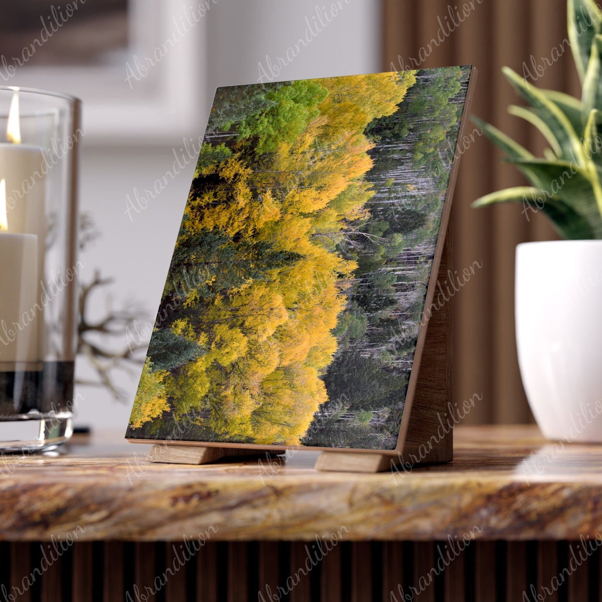 Colorado Aspen Ceramic Photo Tile - abrandilion