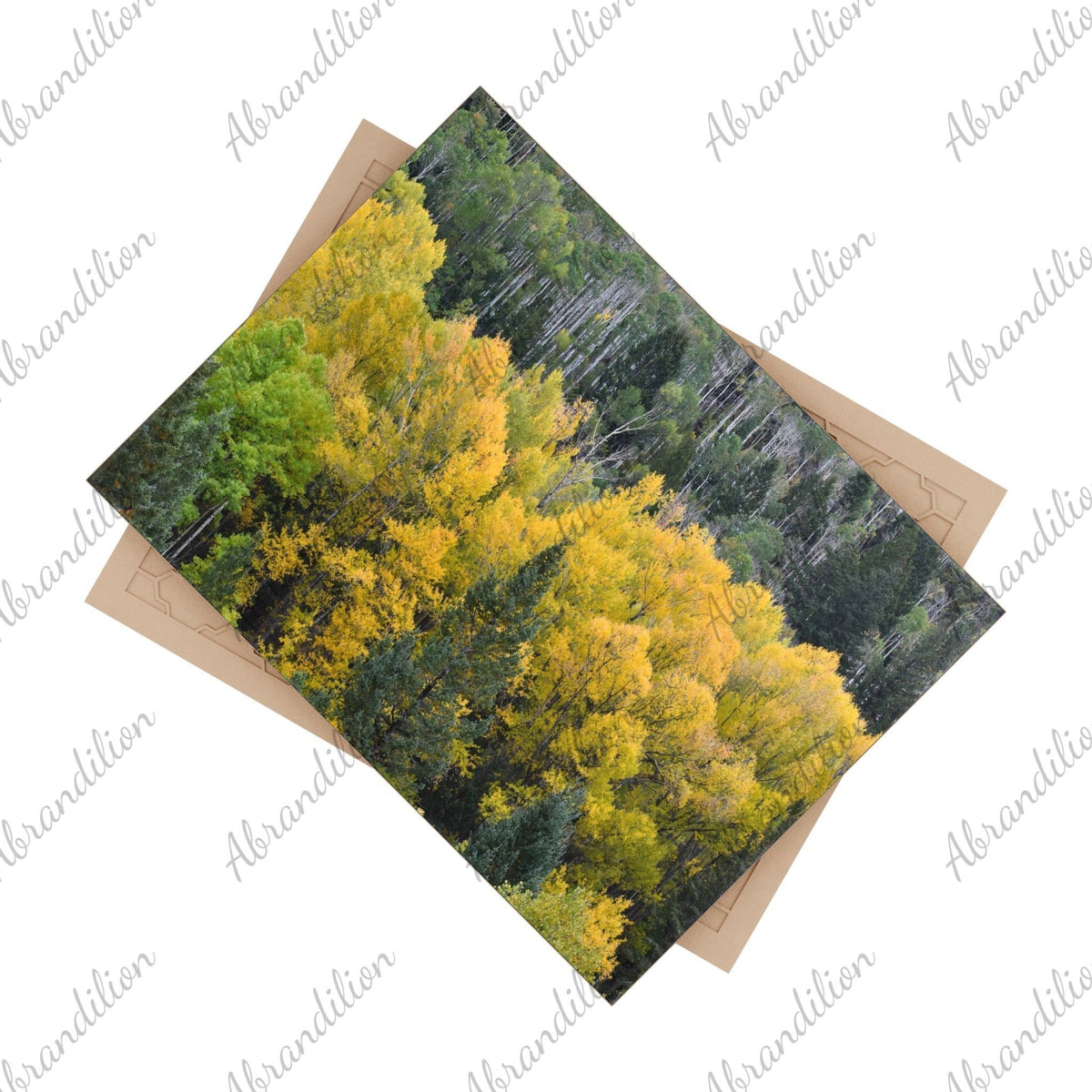 Colorado Aspen Ceramic Photo Tile - abrandilion
