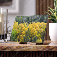 Colorado Aspen Ceramic Photo Tile - abrandilion