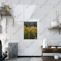 Colorado Aspen Ceramic Photo Tile - abrandilion