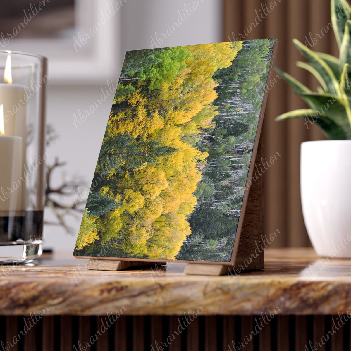 Colorado Aspen Ceramic Photo Tile - abrandilion