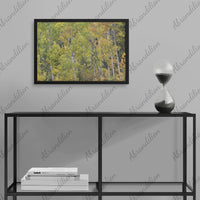 Colorado Aspens Framed Print | Wood Frame - abrandilion