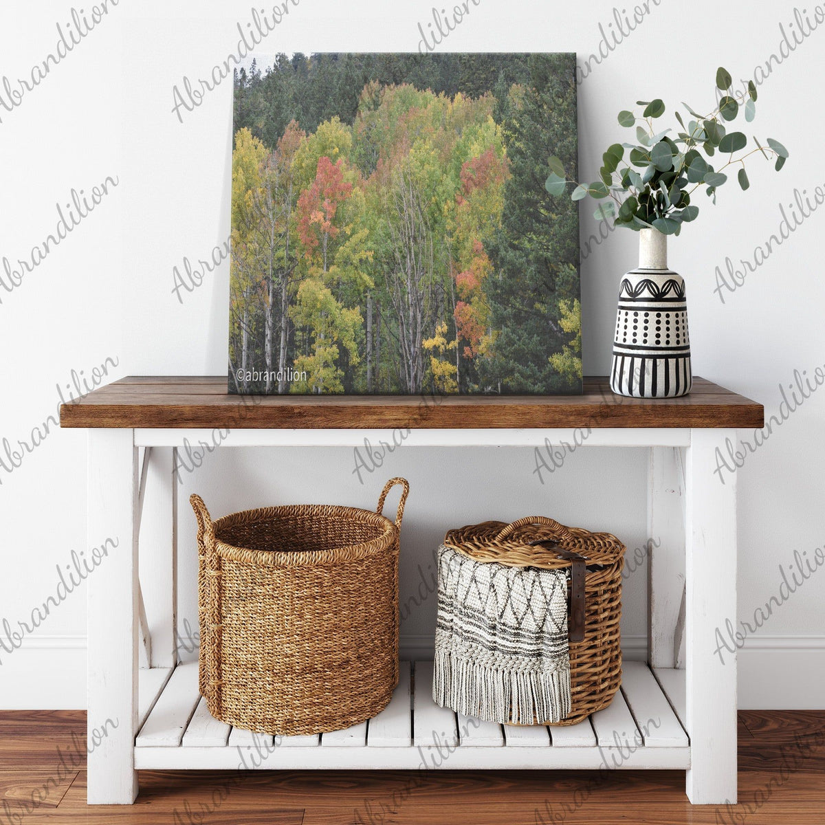 Colorado Fall Square Canvas Wrap - abrandilion