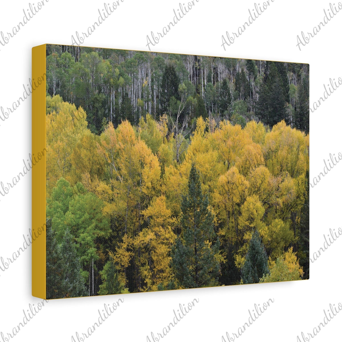 Colorado Fall Stretched Canvas | Fall Colors | 12x9in | Ethically Sourced - abrandilion