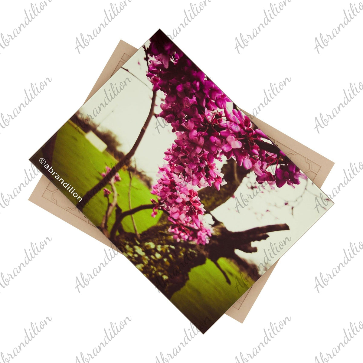 Pink Blooms Ceramic Photo Tile - abrandilion