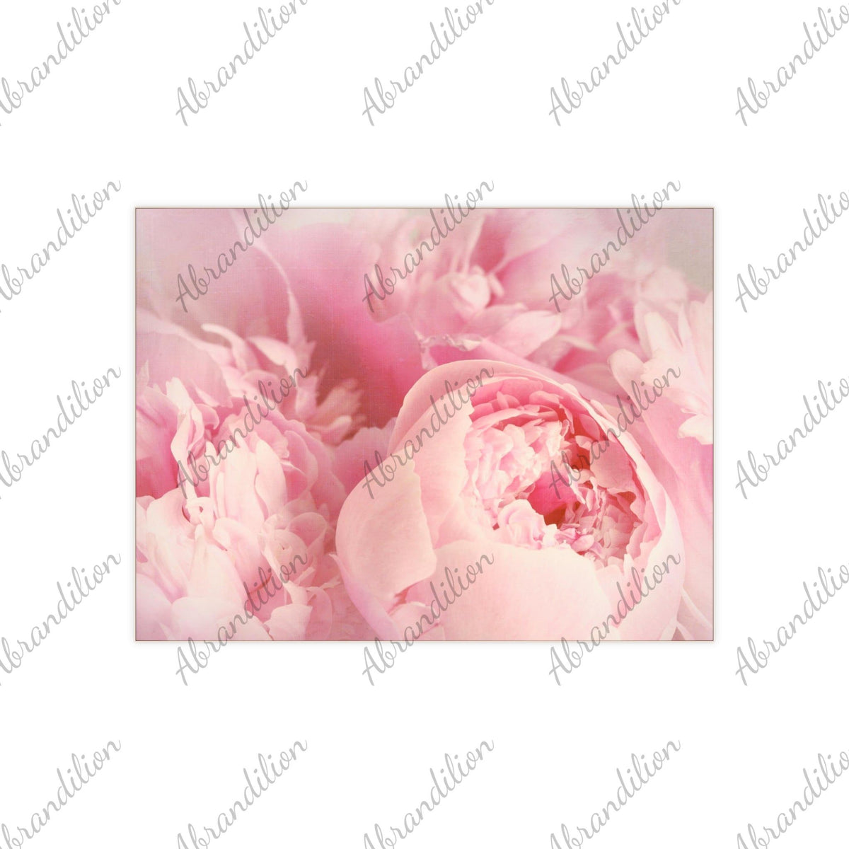 Pink Peony Ceramic Photo Tile - abrandilion