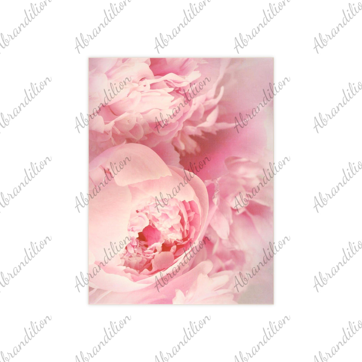 Pink Peony Ceramic Photo Tile - abrandilion
