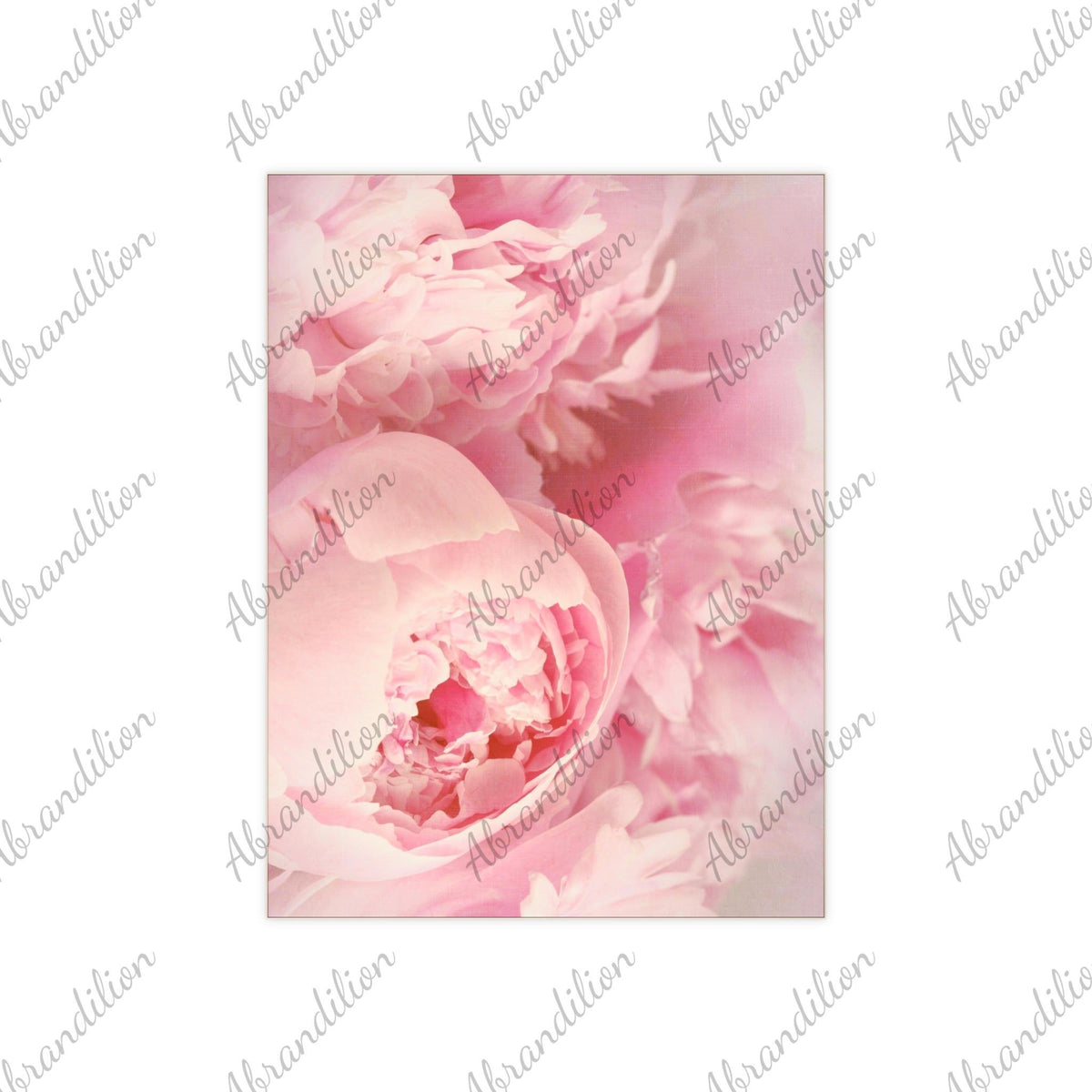 Pink Peony Ceramic Photo Tile - abrandilion