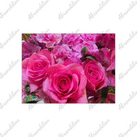 Pretty in Pink Ceramic Photo Tile - abrandilion