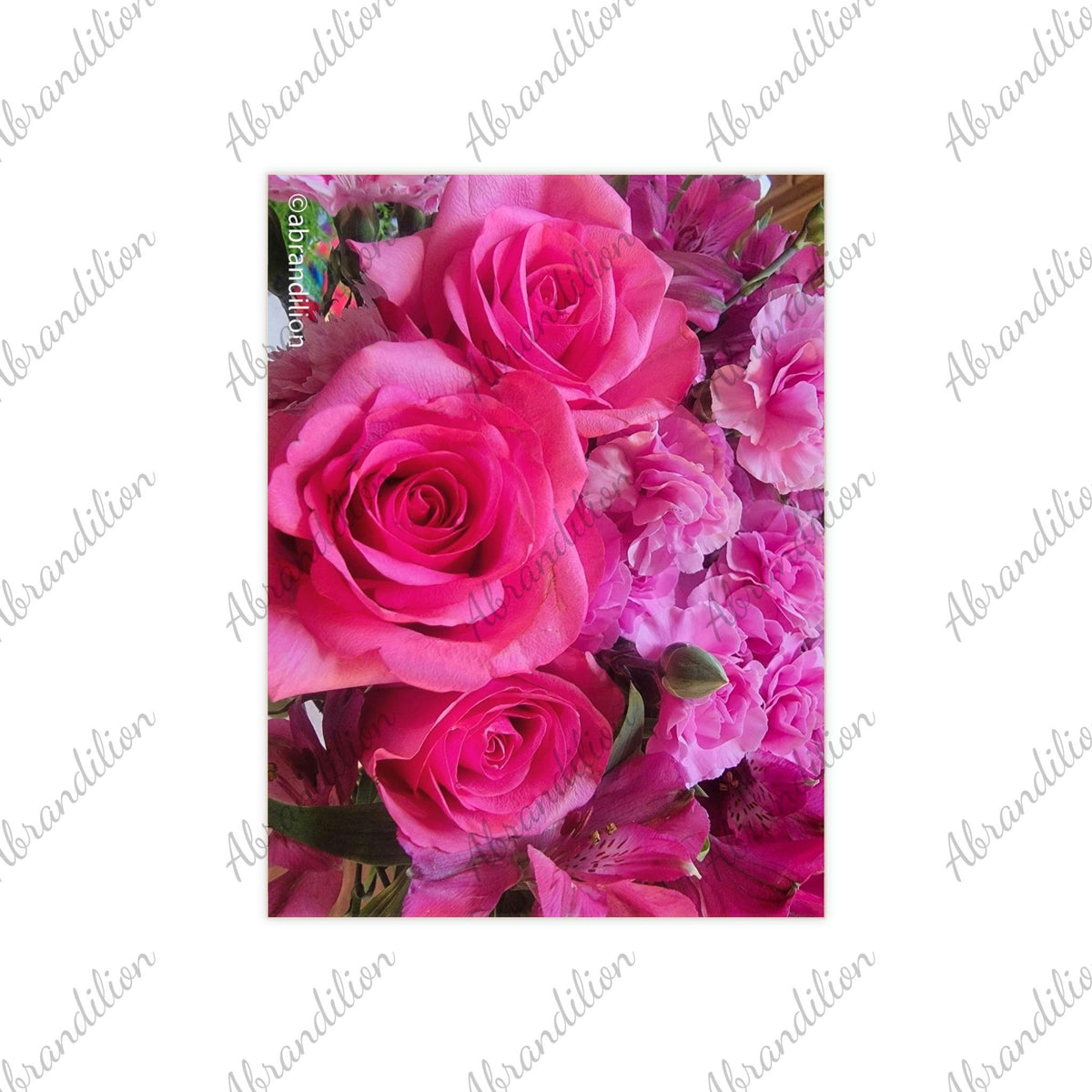 Pretty in Pink Ceramic Photo Tile - abrandilion