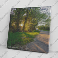 Sun Peeking Through Trees | Canvas Wrap - abrandilion