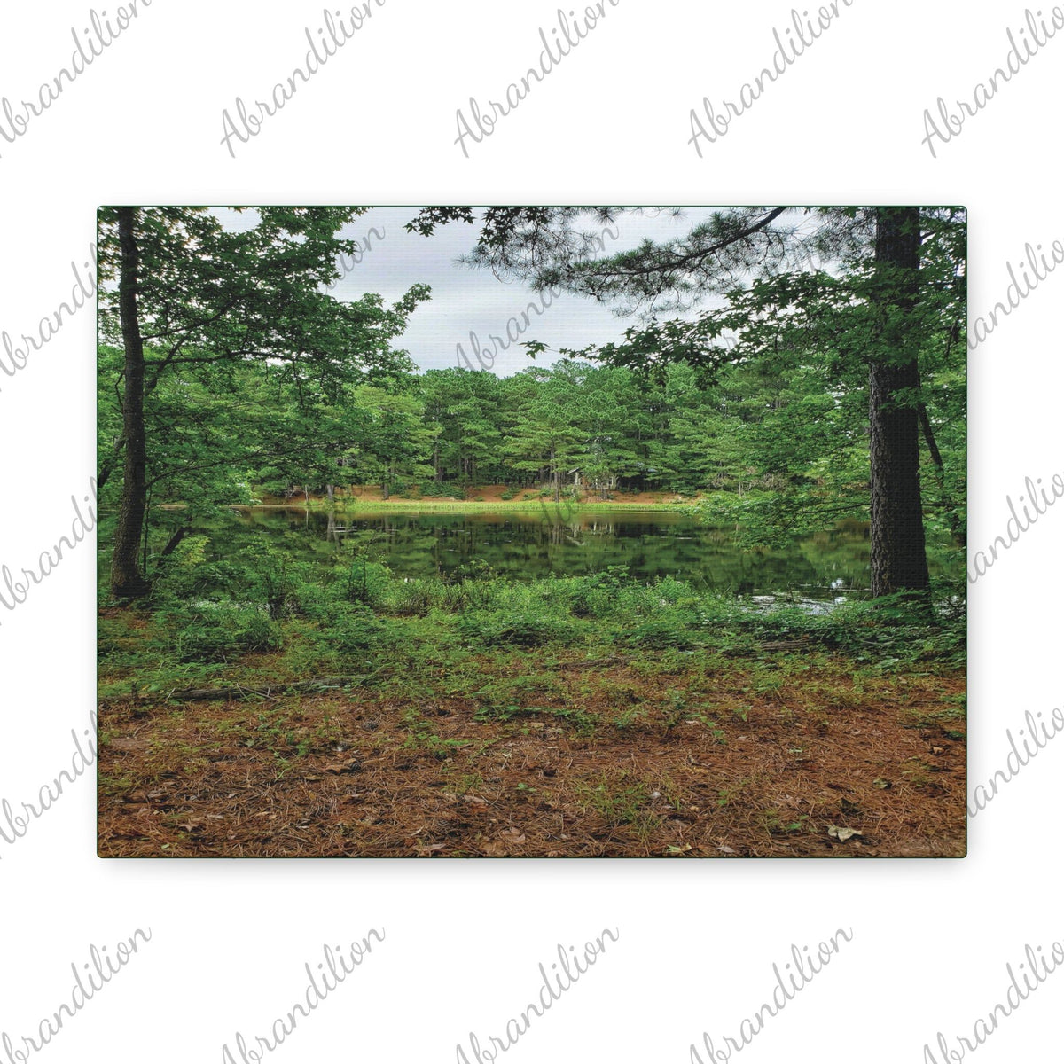 Texas Pond Stretched Canvas | Wall Art | 12"x9" | Ethically Sourced - abrandilion