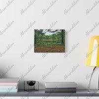 Texas Pond Stretched Canvas | Wall Art | 12"x9" | Ethically Sourced - abrandilion