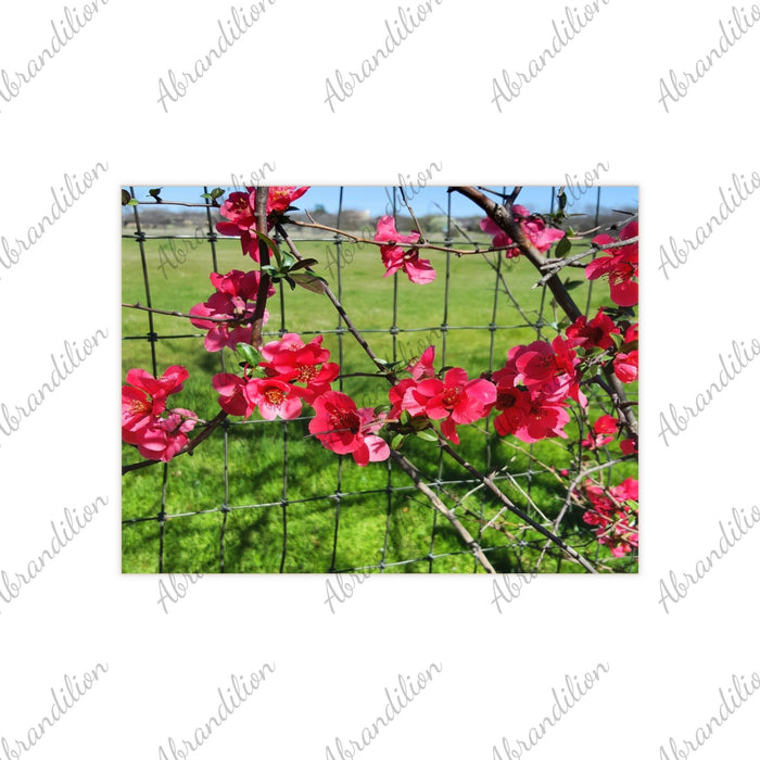 Ceramic Photo Tile - Pink Flower Blossom Wall Art (Garden Fence Floral Photo) - abrandilion
