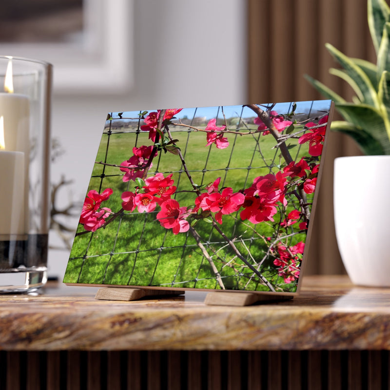 Ceramic Photo Tile - Pink Flower Blossom Wall Art (Garden Fence Floral Photo) - abrandilion