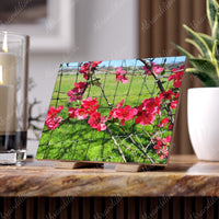 Ceramic Photo Tile - Pink Flower Blossom Wall Art (Garden Fence Floral Photo) - abrandilion