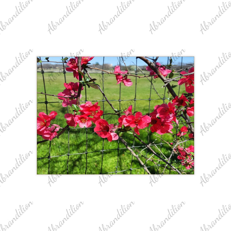 Ceramic Photo Tile - Pink Flower Blossom Wall Art (Garden Fence Floral Photo) - abrandilion