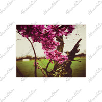 Ceramic Photo Tile — Vintage Pink Blossom Wall Art - abrandilion
