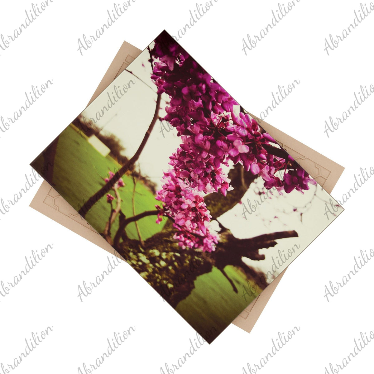 Ceramic Photo Tile — Vintage Pink Blossom Wall Art - abrandilion