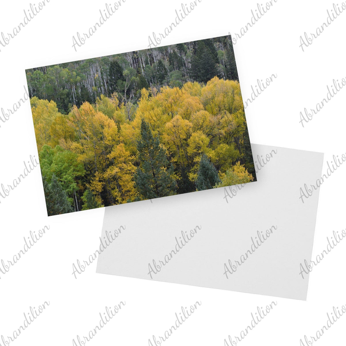 Colorado Fall | Flat Card - abrandilion