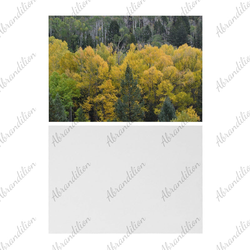 Colorado Fall | Flat Card - abrandilion