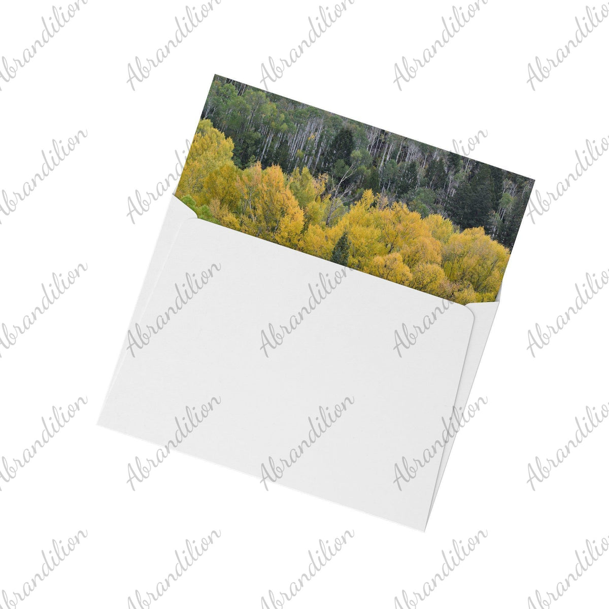 Colorado Fall | Flat Card - abrandilion