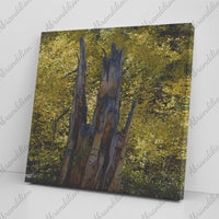 Colorado Tree Stump Fall Colors Canvas Wrap - abrandilion