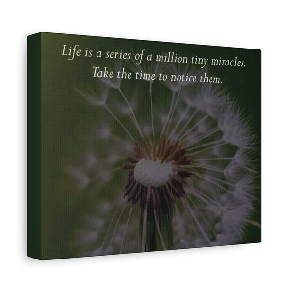 Dandelion Quote Canvas – "Life is a series of a million tiny miracles" Stretched Wall Art - abrandilion
