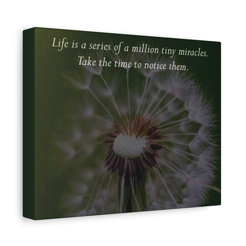 Dandelion Quote Canvas – "Life is a series of a million tiny miracles" Stretched Wall Art - abrandilion