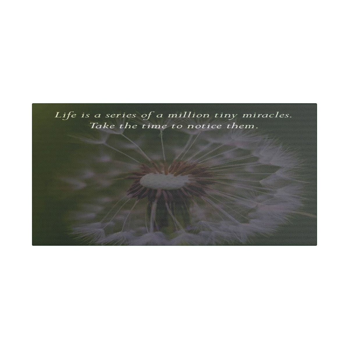 Dandelion Quote Satin Canvas Print – "Life is a series of a million tiny miracles. Take the time to notice them." - abrandilion