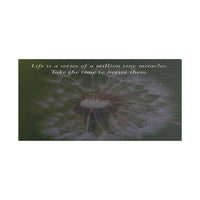 Dandelion Quote Satin Canvas Print – "Life is a series of a million tiny miracles. Take the time to notice them." - abrandilion