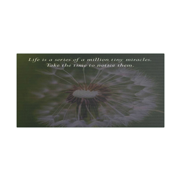Dandelion Quote Satin Canvas Print – "Life is a series of a million tiny miracles. Take the time to notice them." - abrandilion