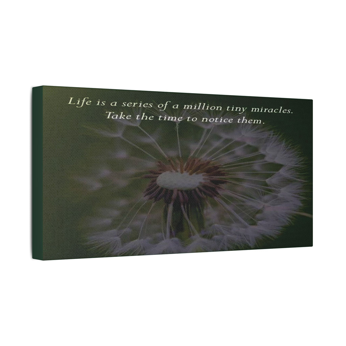 Dandelion Quote Satin Canvas Print – "Life is a series of a million tiny miracles. Take the time to notice them." - abrandilion
