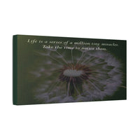 Dandelion Quote Satin Canvas Print – "Life is a series of a million tiny miracles. Take the time to notice them." - abrandilion