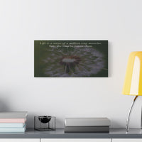 Dandelion Quote Satin Canvas Print – "Life is a series of a million tiny miracles. Take the time to notice them." - abrandilion