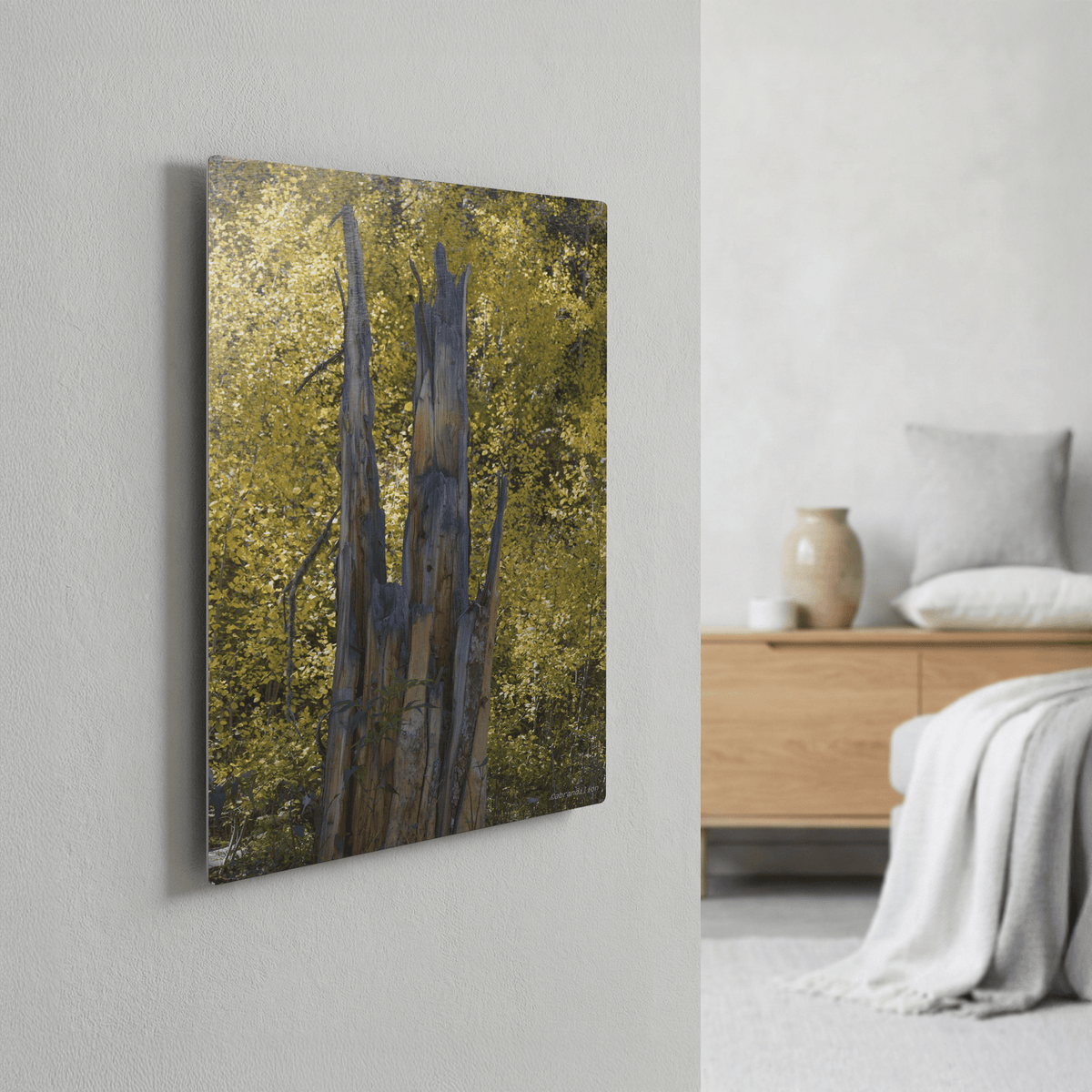 Faces in the Tree - Metal Panel - abrandilion
