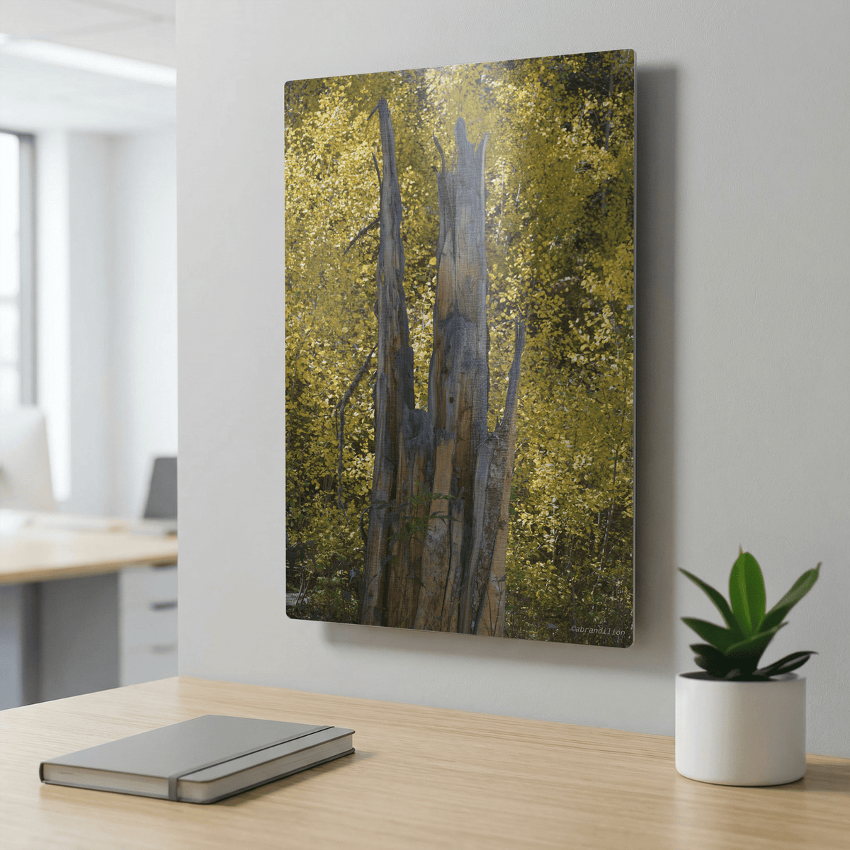 Faces in the Tree - Metal Panel - abrandilion