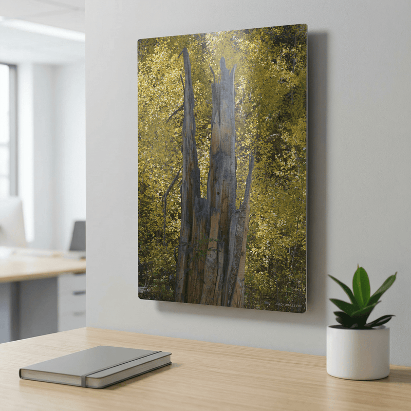 Faces in the Tree - Metal Panel - abrandilion