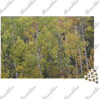 Fall Colors Aspen | Jigsaw Puzzle - abrandilion