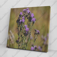 Mountain Wildflower - Purple - Canvas Wrap - abrandilion